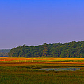 Rye Salt Marsh Pano Photograph by Jeff Sinon