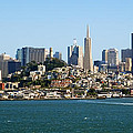 San Francisco Skyline Photograph by Kelley King