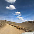 Signals ... Along the Bristlecone Pine Highway, White Mountains, California. 
