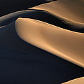Sinuous Dunes 