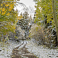Snowy Road in Fall