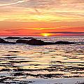 Sunrise Silhouettes Odiorne Point Photograph by Jeff Sinon