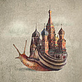 The Snail's Daydream