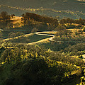 The Winding Road