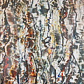 Tickertape 1