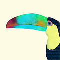 Toucan