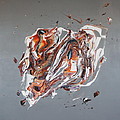 Butterfly Effect 1