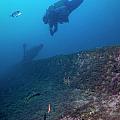 Diver exploring shipwreck by Sami Sarkis Photography