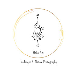 Helo Art