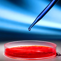 Science Research Lab