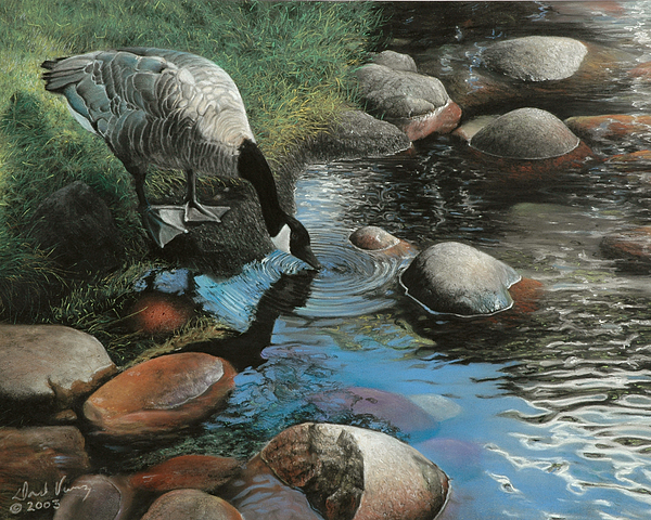 Goose Paintings