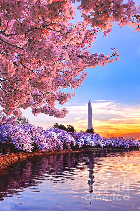 Landmark Photographs