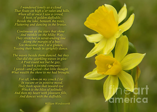 Daffodils Poem by William Wordsworth Jigsaw Puzzle by Olga