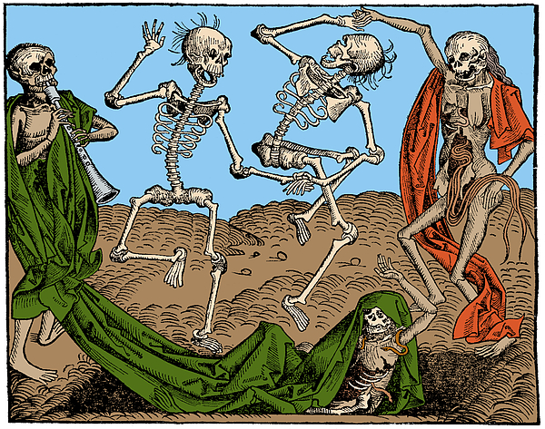 Danse Macabre 1493 Greeting Card by Science Source