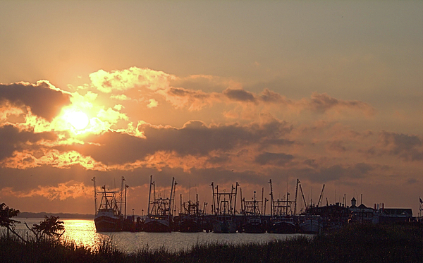 Shower Curtain Photographs