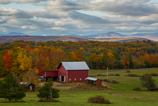 Fall Art