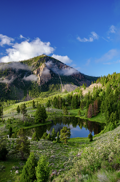 Yellowstone National Park Art