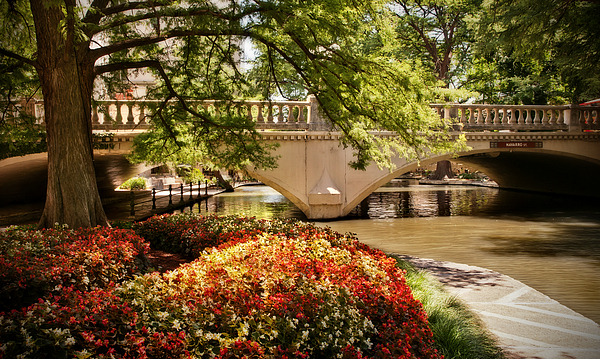 Landscape Photographs