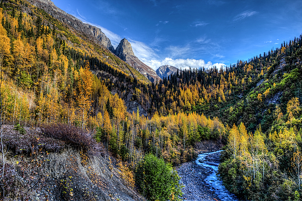 Wrangell St Elias National Park Photographs