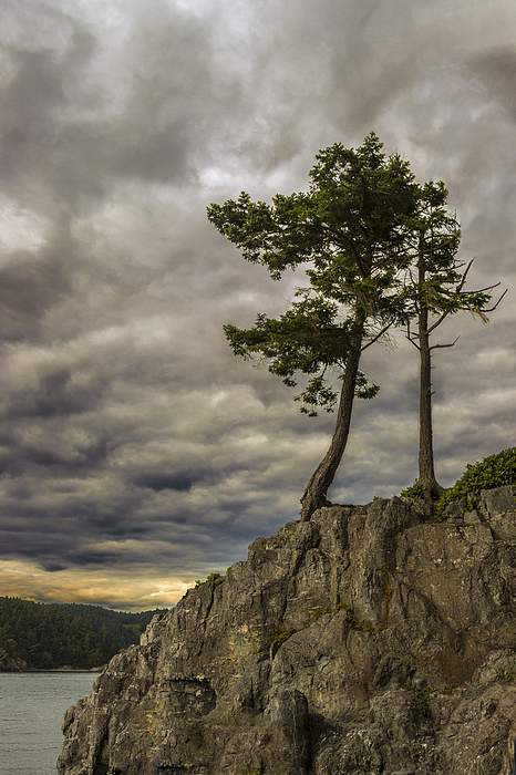 Landscape Photographs