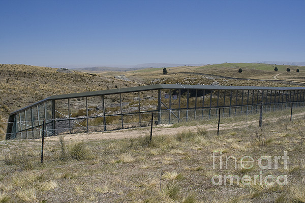 Andy Routh Skink Enclosure Greeting Card by Andrew Routh