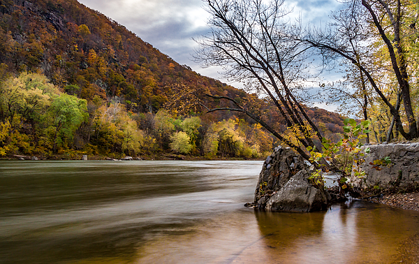 Fall Photographs