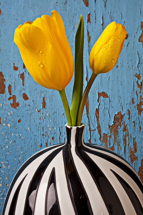 Flowers (still Life) Art for Sale