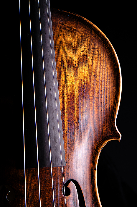 Violins Art for Sale