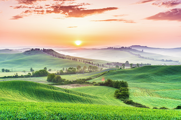 Italy Art