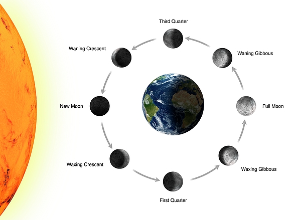 Phases Of The Moon As Seen From The Earth #3 Greeting Card by