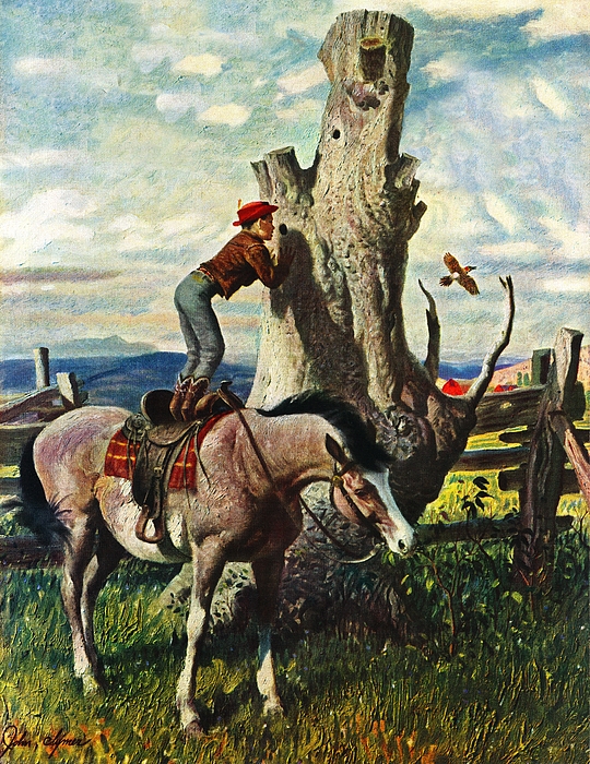 Boy On Horse Greeting Card by John Clymer