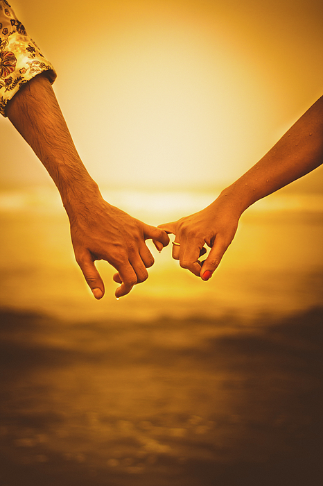 Couple Holding Hands At Sunset, India Zip Pouch by Teju Nookala