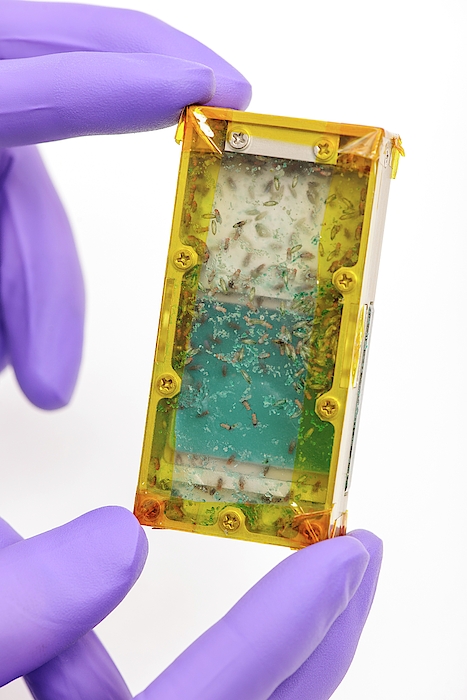 Fruit Fly Lab For Use In Research On The Iss Greeting Card by Nasa ...