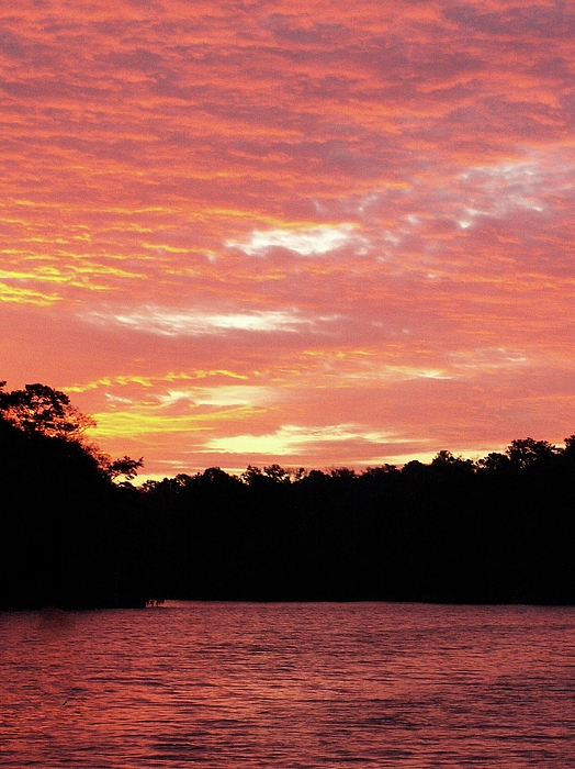 Sunrise Art