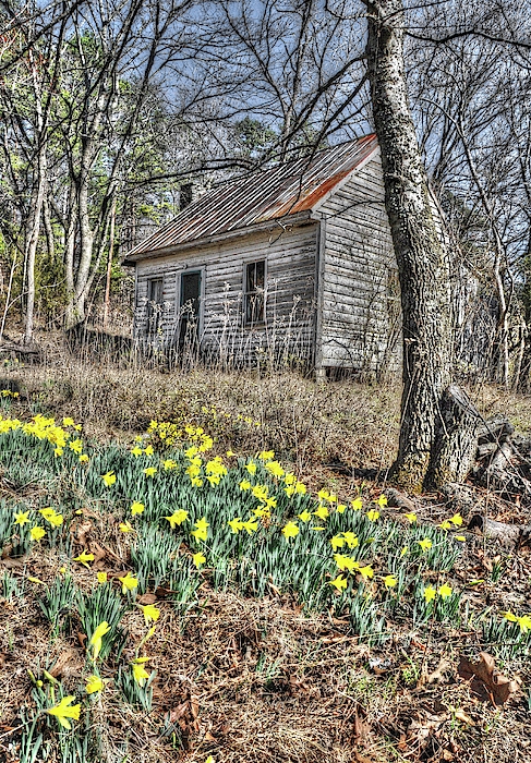 Tennessee Art