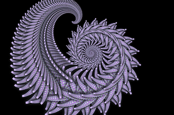 Pattern Photographs