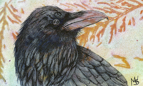 Raven Art