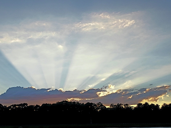 Sunset Art