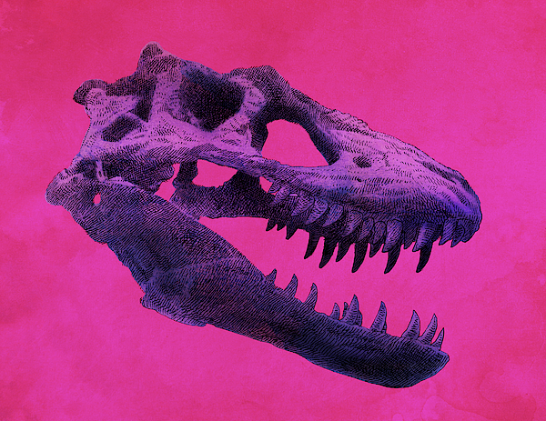 Dinosaur Art