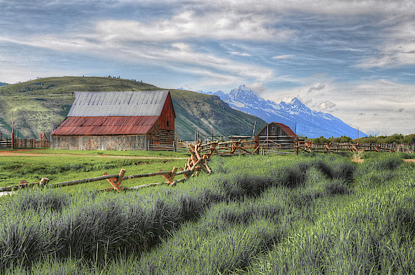 Wyoming Art