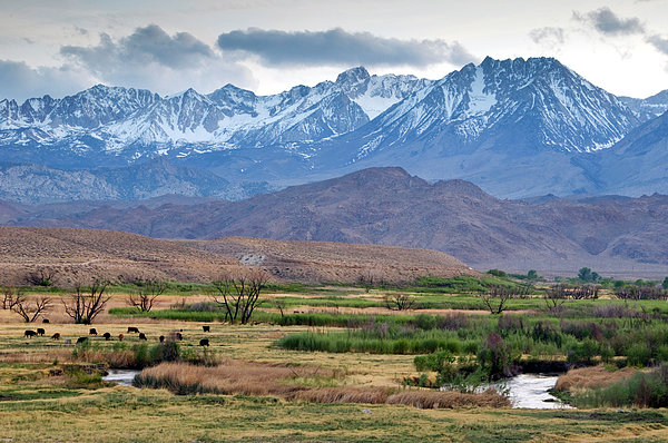 The Eastern Sierra Nevada Mountains Jigsaw Puzzle by Rachid