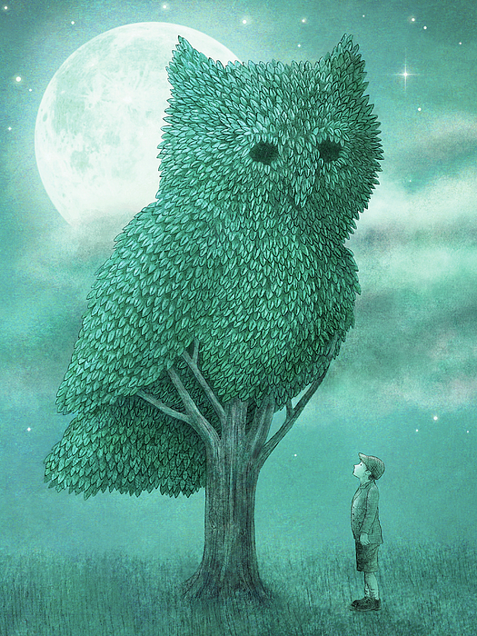 Owl Art