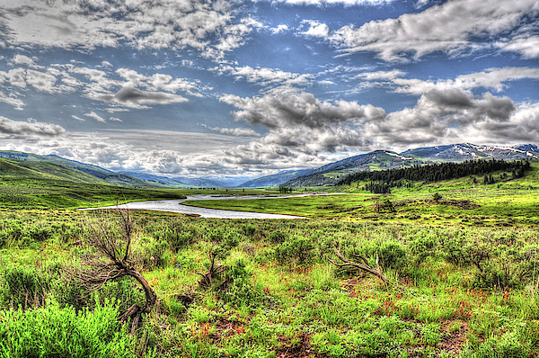 Yellowstone National Park Photographs