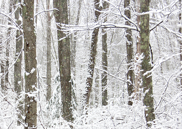 Massachusetts Photographs