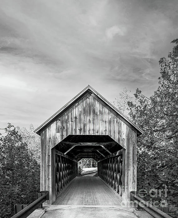 Bridge Photographs
