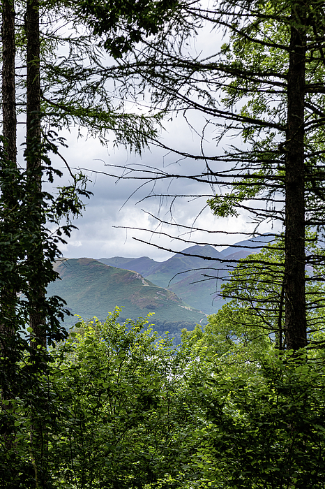 National Parks Photographs