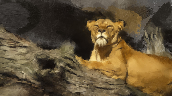 Lion Paintings