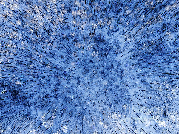 Winter Photographs