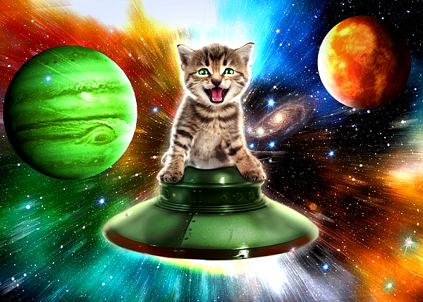Alien cat in the ufo saucer Jigsaw Puzzle by Johnnie Art - PX Puzzles Alien cat in the ufo saucer Jigsaw Puzzle by Johnnie Art - PX Puzzles