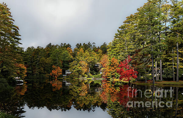 Landscape Photographs